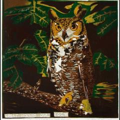 Great horned owl