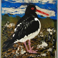 Oystercatcher