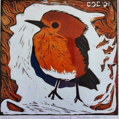 Robin redbreast