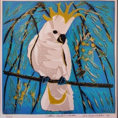 Sulphur-creasted cockatoo