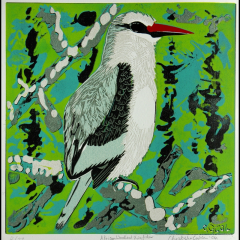 African woodland kingfisher