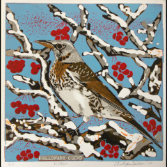 Fieldfare