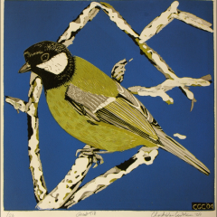 Great tit