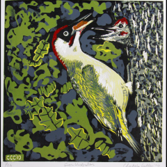 Green woodpeckers