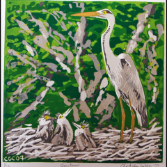 Grey herons