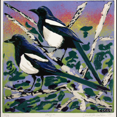 Magpies