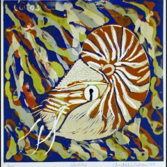 Nautilus